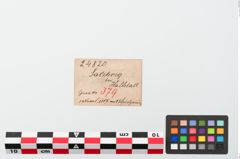 Etiketten zu Kugelkopfnadel (NHMW-PRAE-024820)